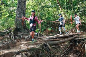 BIB: 
                            <button type="button" onclick="openModal(27557295)" class="btn btn-primary btn-sm float-right btn-popup" data-toggle="modal" data-target=".modal-high-quality">
                        <i class="fas fa-shopping-cart"></i> Add to Cart
                    </button>
                                            <button type="button" onclick="isThisMe(27557295, true)" class="btn btn-success btn-sm float-right btn-popup btn-isme hidden" data-toggle="tooltip" data-placement="bottom" title="นี่คือรูปของคุณใช่ไหม คลิกที่นี่เพื่อเอาเข้าอัลบั้ม">
                        <i class="fas fa-plus"></i> Add to album
                    </button>
                    <button type="button" onclick="isThisMe(27557295, false)" class="btn btn-warning btn-sm float-right btn-popup btn-isnotme hidden">
                        <i class="fas fa-ban"></i> Remove from album
                    </button>